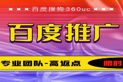 行业领先的SEM投放效果案例解析